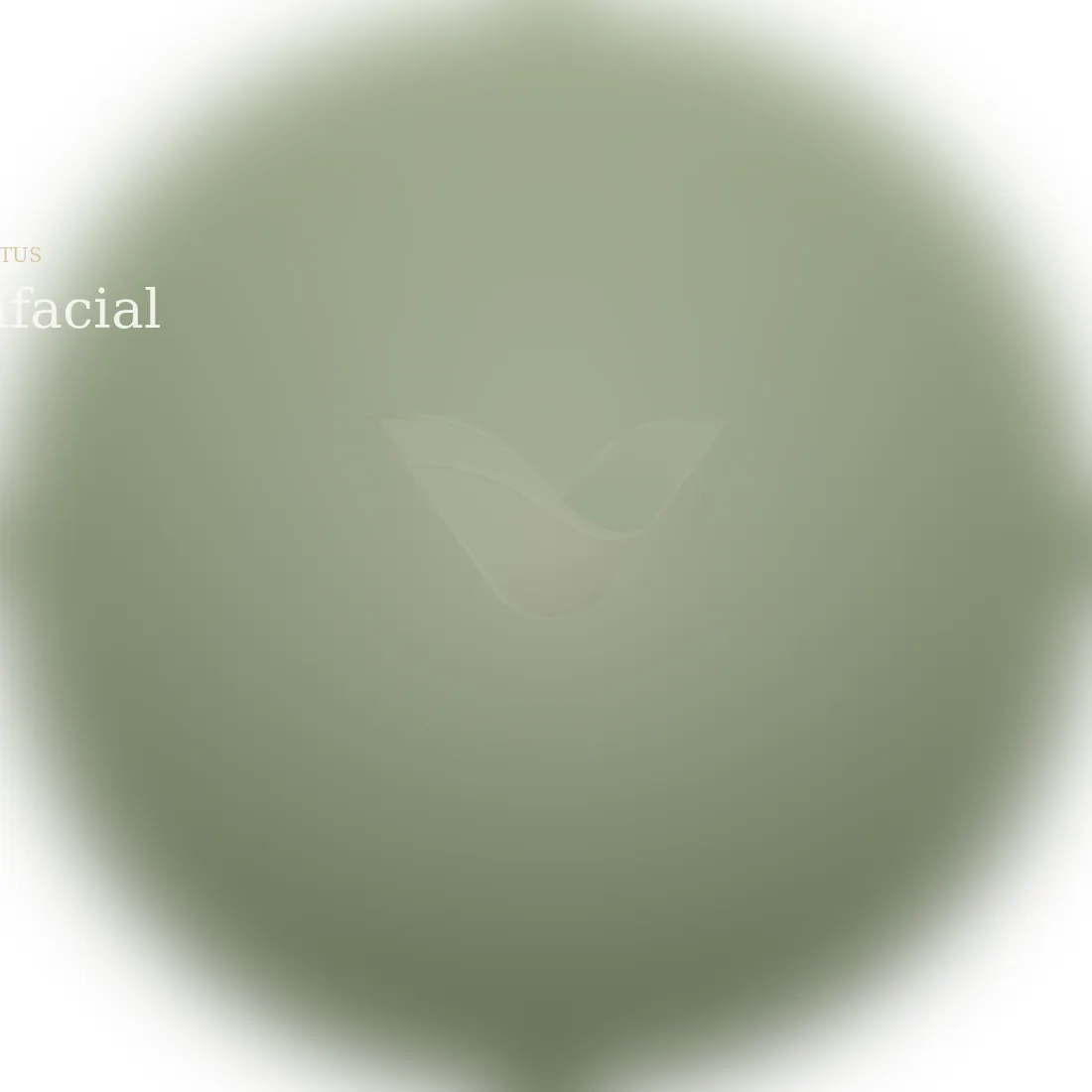 Hydrafacial